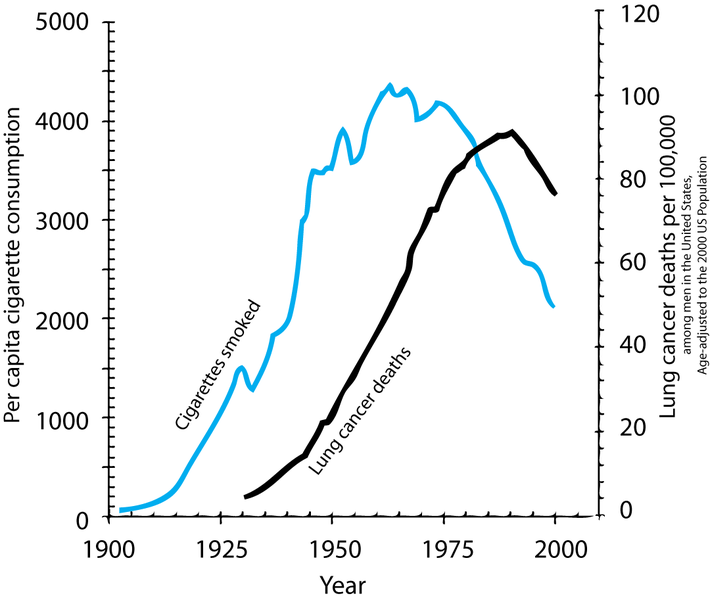 Two time series showing cigarette consumption per capita and incidence of lung cancer in the USA.